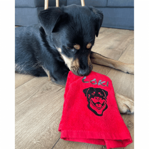 Schwarzer Hund liegt auf Holzfußboden und hält ein rotes, besticktes Pfotenhandtuch mit Hundemotiv und dem Namen „Loki“ im Mund
