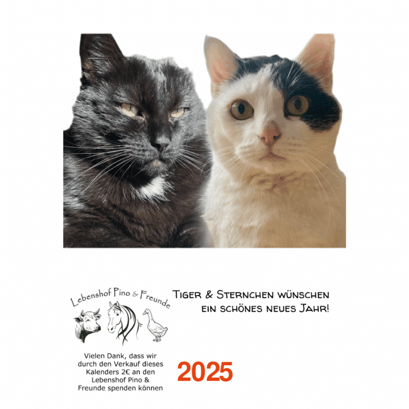 Kalender 2026