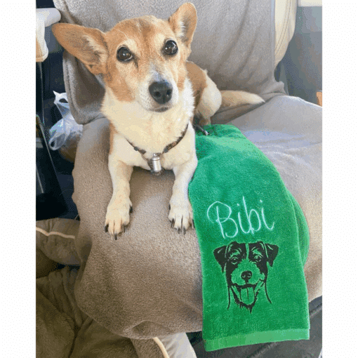 Kleiner Hund sitzt auf einem Stuhl neben grünem bestickten Handtuch mit dem Namen „Bibi“ und Hundegesicht.