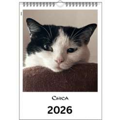 Schwarz-weiße Katze Chica mit rosa Nase liegt auf einer Kratztonne. Personalisierter Fotokalender A4 für 2026 mit eigener Katze, 2 € Spende an Lebenshof Pino & Freunde
