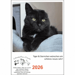 Schwarzer Kater Tiger mit weißem Brustfell liegt entspannt im Katzenbett – Vorschau auf den A5 Fotokalender von Tiger 2026 zugunsten des Lebenshofs Pino & Freunde