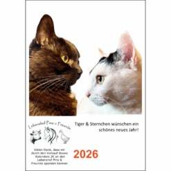 Zwei Katzen blicken sich an: schwarzer Kater Tiger und weiße Katze Sternchen mit schwarzen Flecken – Titelbild vom A4 Fotokalender Tiger & Sternchen 2026 zugunsten des Lebenshofs Pino & Freunde