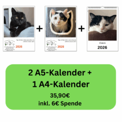 Vorteils-Paket 3: Kombination aus zwei A5-Kalendern mit Tiger & Sternchen und einem A4-Kalender mit persönlichen Fotos – und mit Spende