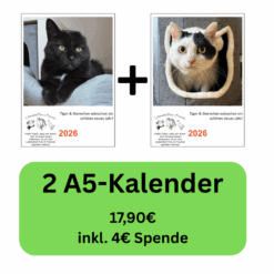 Zwei A5-Kalender 2026 mit Katzenbildern von Tiger und Sternchen – Vorteils-Paket 1 mit Spende