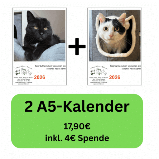 Zwei A5-Kalender 2026 mit Katzenbildern von Tiger und Sternchen – Vorteils-Paket 1 mit Spende