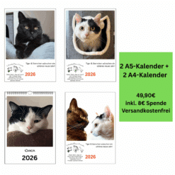 Vorteils-Paket 5: Vier Kalender – zwei A5 und zwei A4 – mit Motiven von Tiger, Sternchen und personalisiertem Fotokalender, Vorteils-Paket mit 8 € Spende