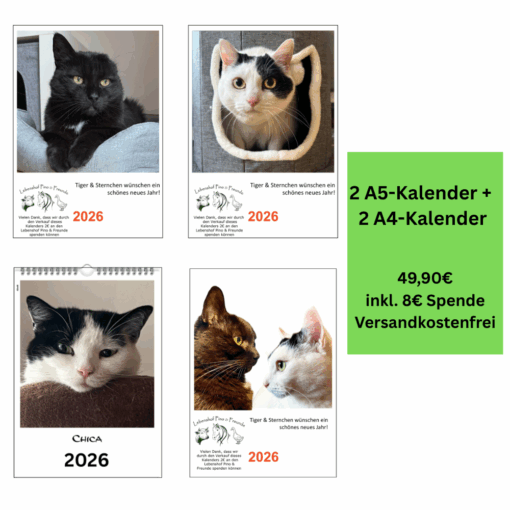Vorteils-Paket 5: Vier Kalender – zwei A5 und zwei A4 – mit Motiven von Tiger, Sternchen und personalisiertem Fotokalender, Vorteils-Paket mit 8 € Spende