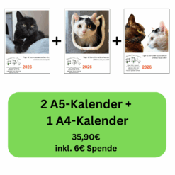 Vorteils-Paket 2: Zwei A5-Kalender und ein A4-Kalender mit Katzenmotiven – Vorteils-Paket mit 6 € Spende