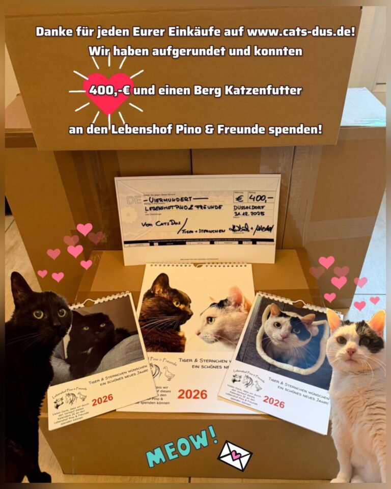 CatsDus Spende von 400 Euro und Katzenfutter an den Lebenshof Pino & Freunde