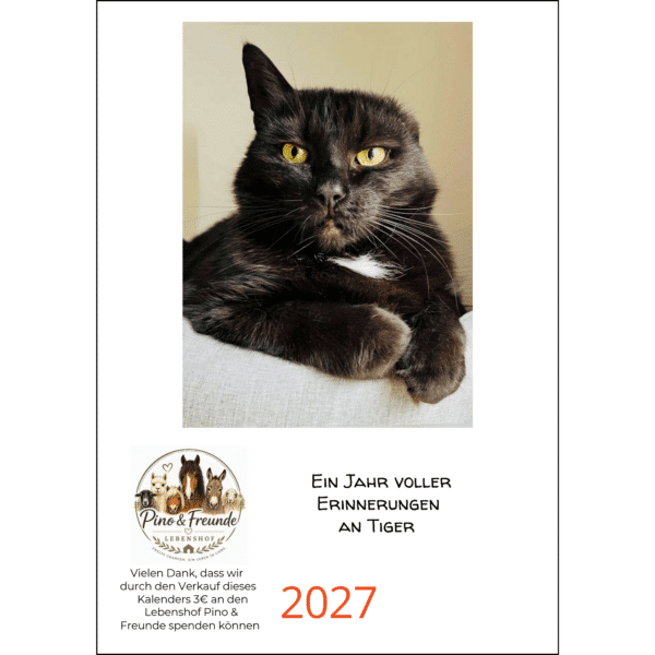 Tiger Remembrance-Kalender 2027 im A4-Format mit Spende an den Lebenshof Pino & Freunde