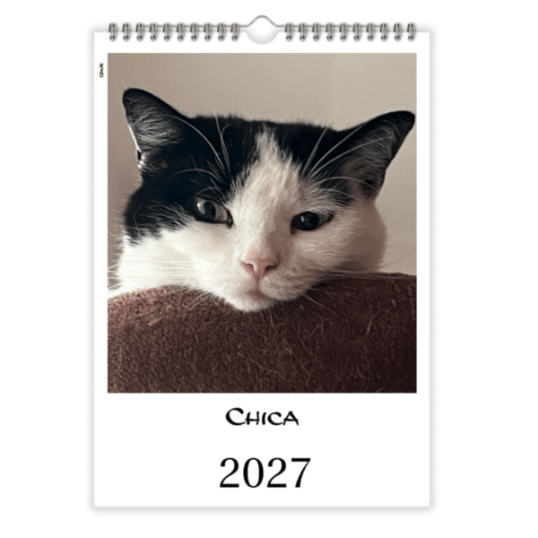Personalisierter Katzenkalender 2027 im A4-Format mit eigenem Katzenfoto