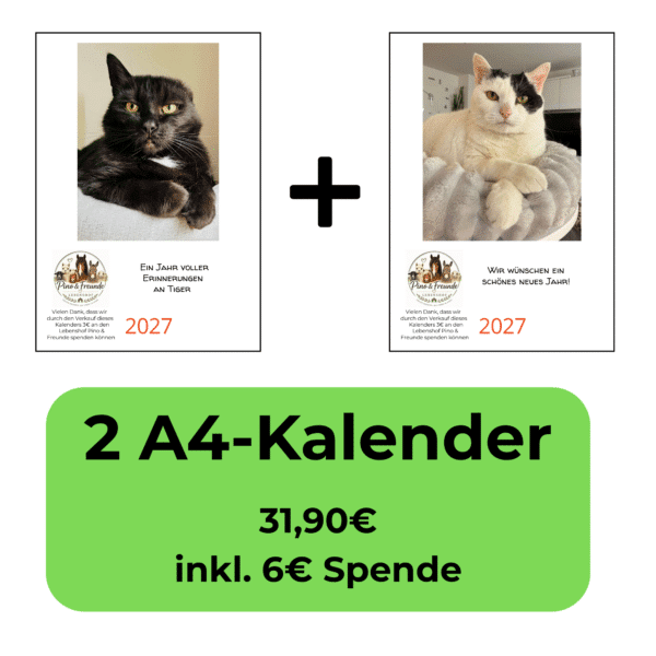 Vorteilspaket mit Tiger und Sternchen A4 Katzenkalender 2027