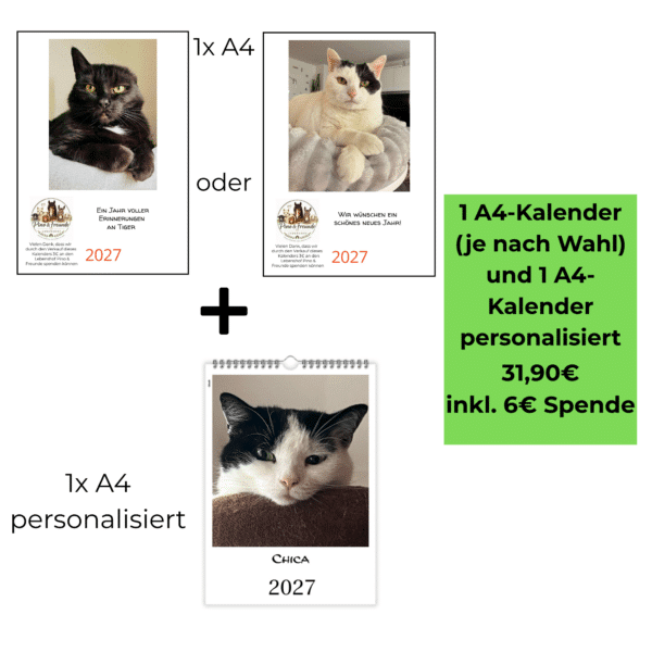 A4 Katzenkalender 2027 nach Wahl mit personalisiertem Katzenkalender im Vorteilspaket