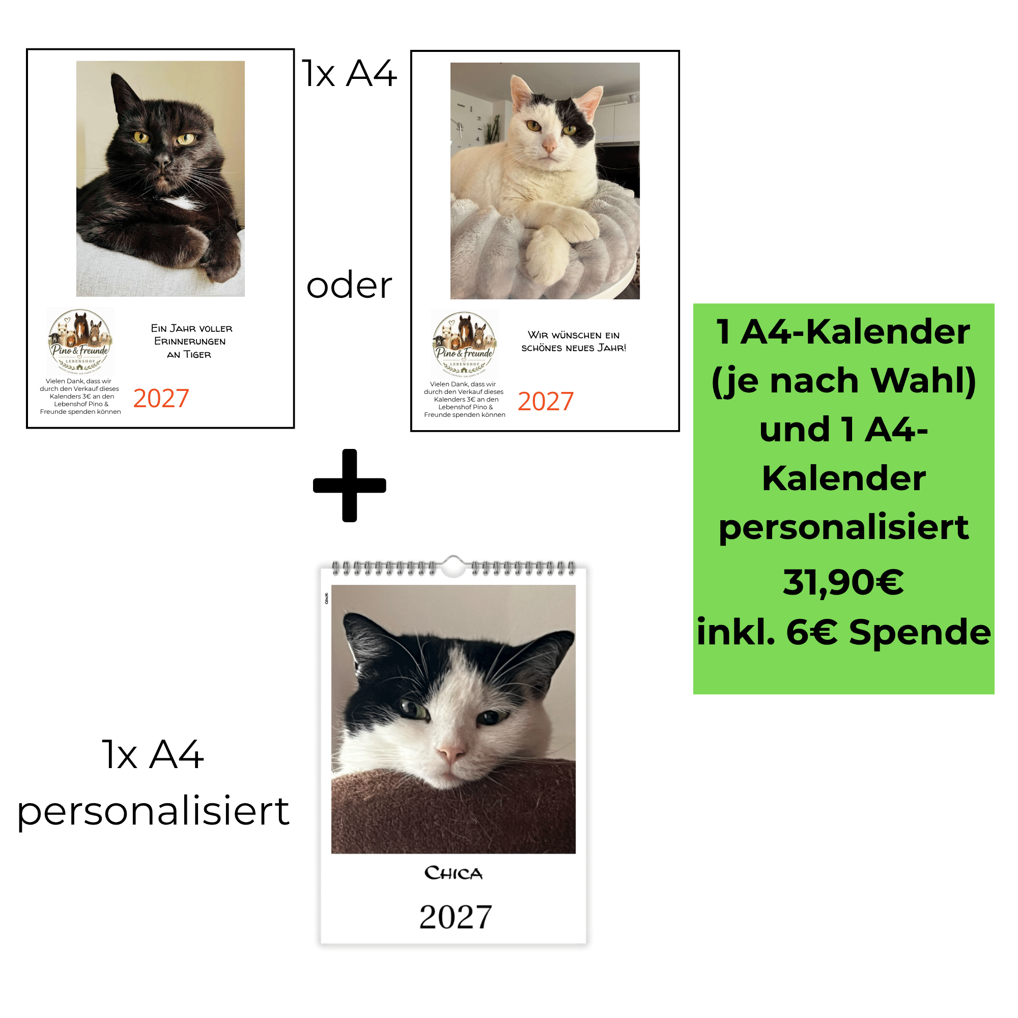 A4 Katzenkalender 2027 nach Wahl mit personalisiertem Katzenkalender im Vorteilspaket