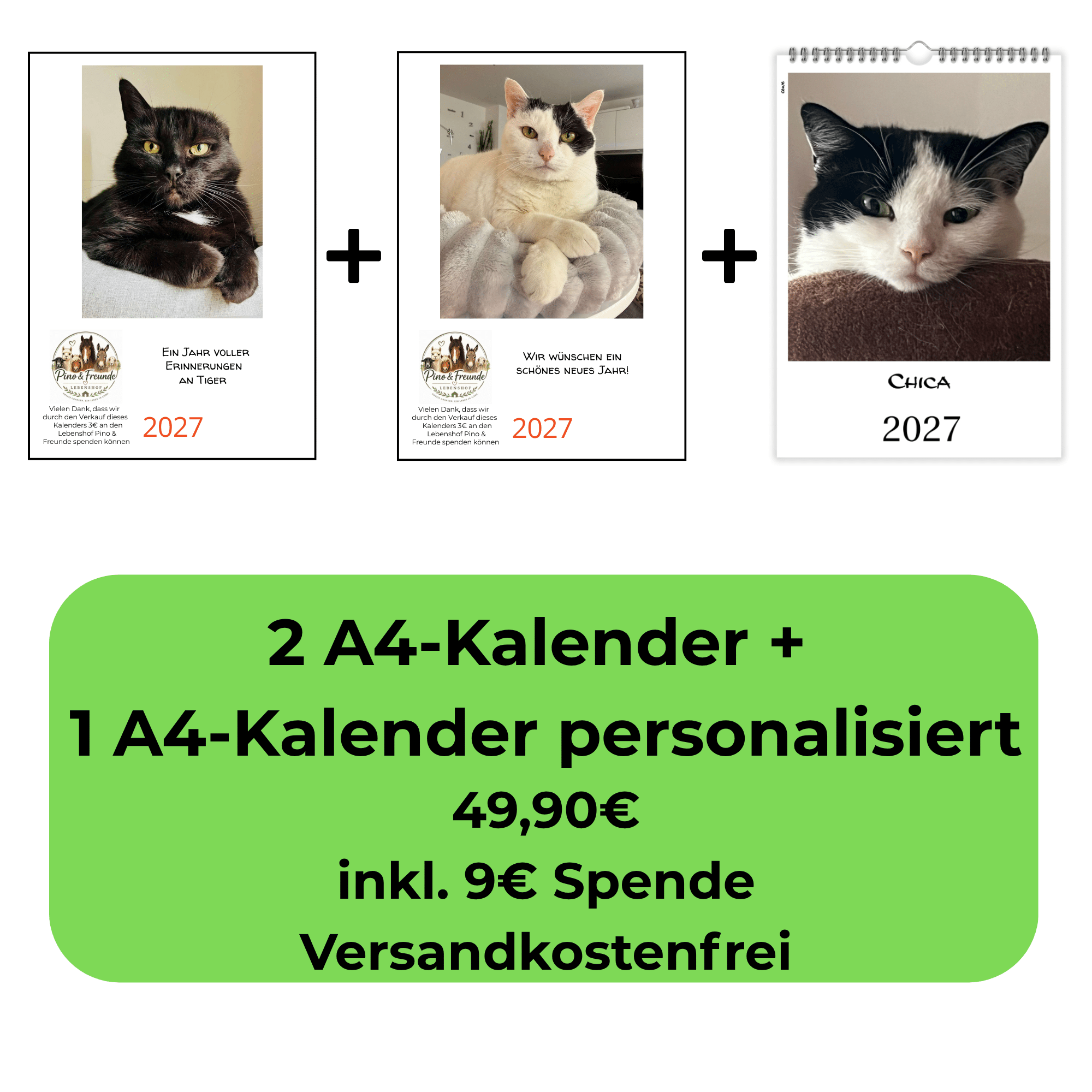 Tiger und Sternchen Katzenkalender 2027 mit personalisiertem A4 Katzenkalender im Vorteilspaket